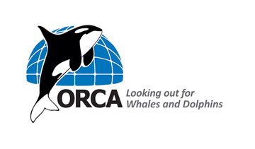 ORCA Partners with The Fin Whale Eclipse Project as Chris Packham Shares His Support