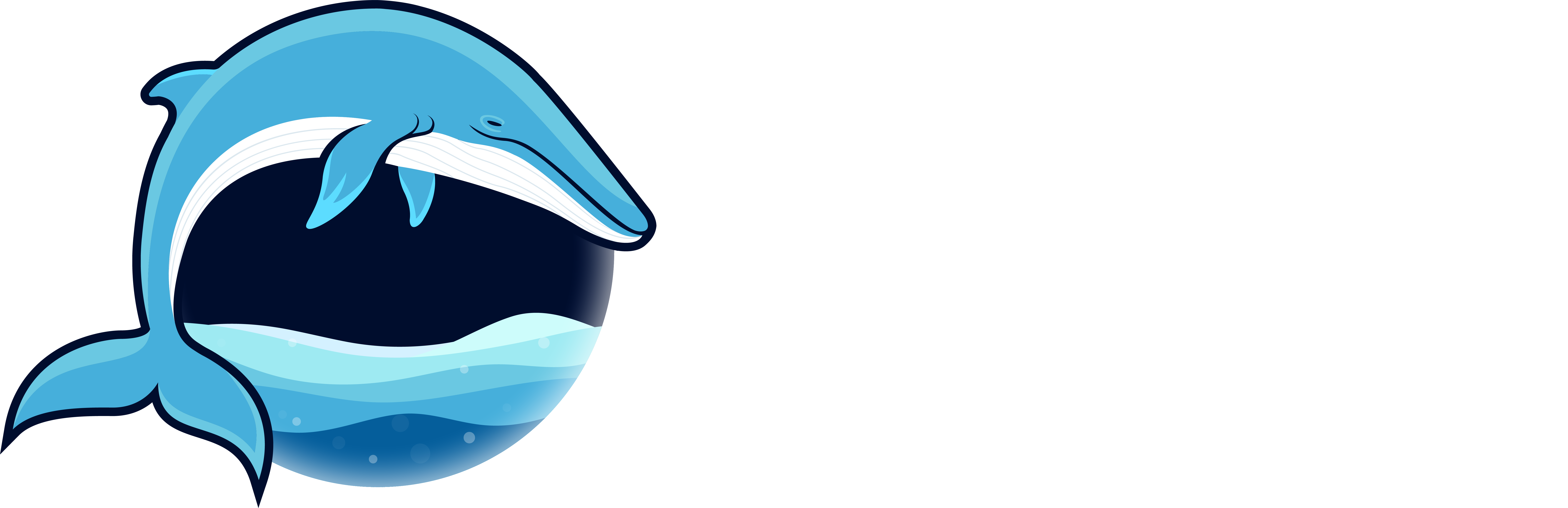 Fin Whale Eclipse Project